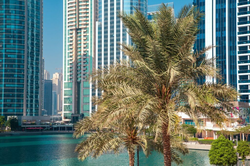 Captivating view of Dubai Marina skyscrapers with palm trees on a clear day.